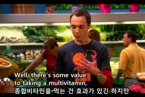 The.Big.Bang.Theory.s01e04.hdtv.xvid-xor.mp4_20100616_224823.jpg