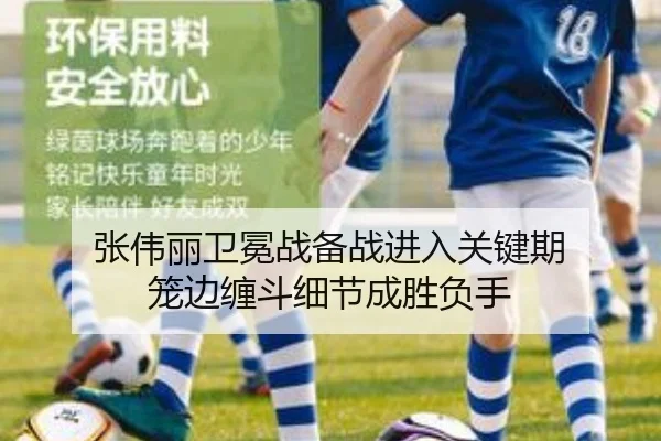 张伟丽卫冕战备战进入关键期 笼边缠斗细节成胜负手