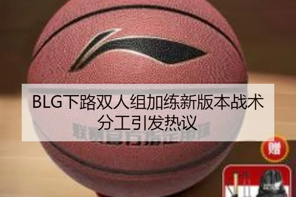 BLG下路双人组加练新版本战术分工引发热议