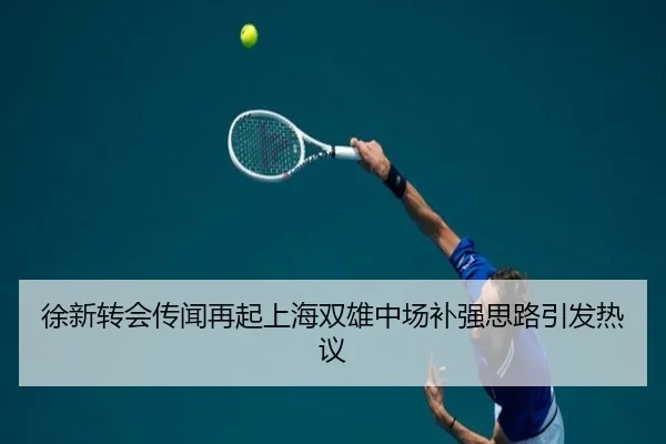 徐新转会传闻再起上海双雄中场补强思路引发热议